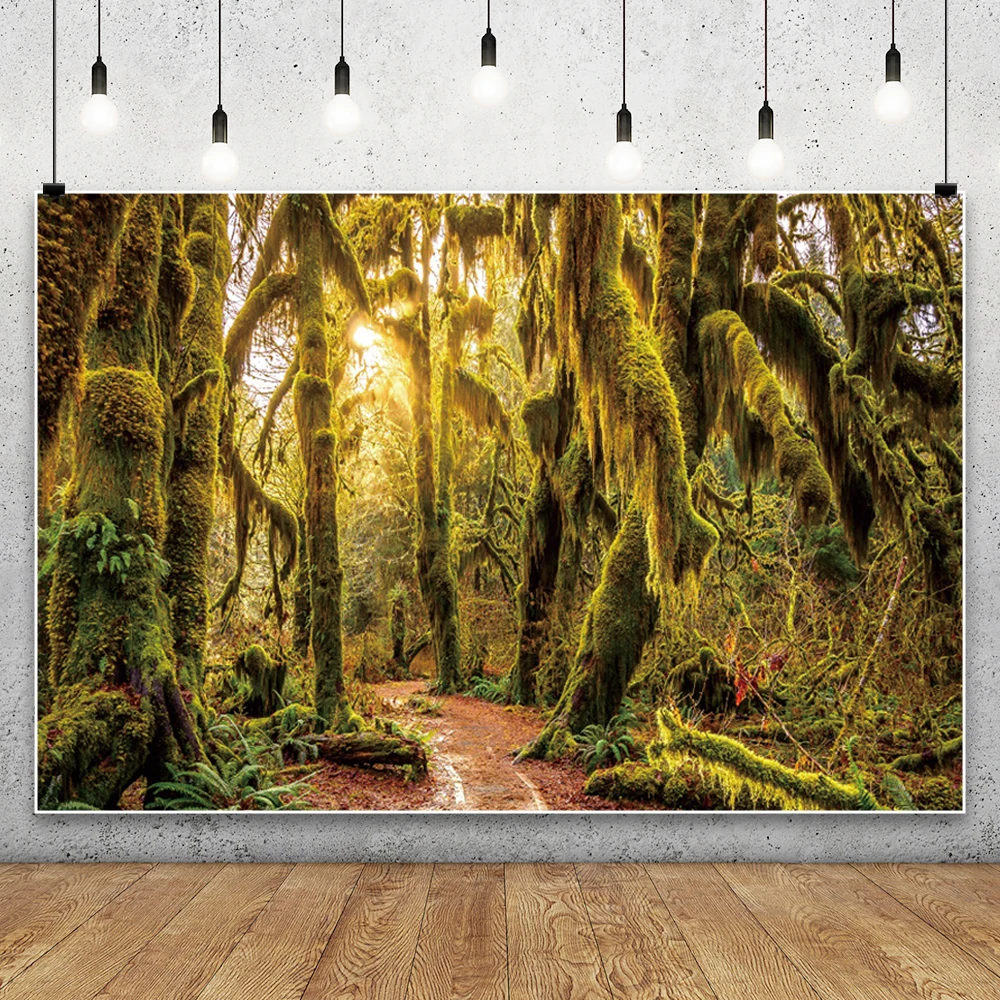 الغابة الغابات خلفيات للتصوير الفوتوغرافي الغابات المطيرة الاستوائية المناظر الطبيعية التخييم تحت عنوان استحمام الطفل الاطفال الكبار خلفية الزفاف