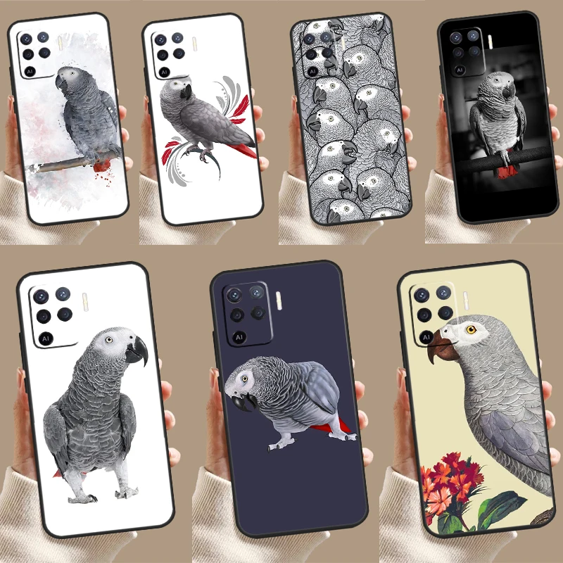 African Grey Parrot… - image