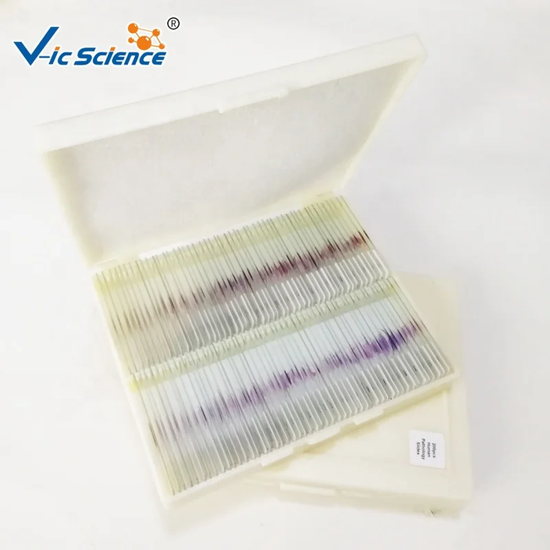 200pcs Human Pathology slides for medical students