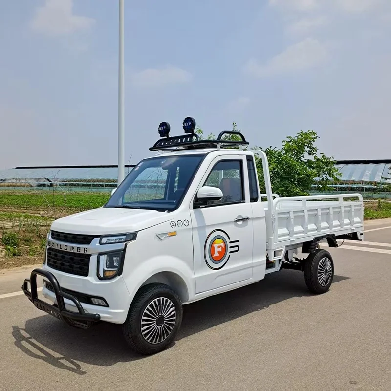 Customized Color and Hot Sale China Manufacturing Factory New Energy High Quality 2 Door Car Pickup Truck