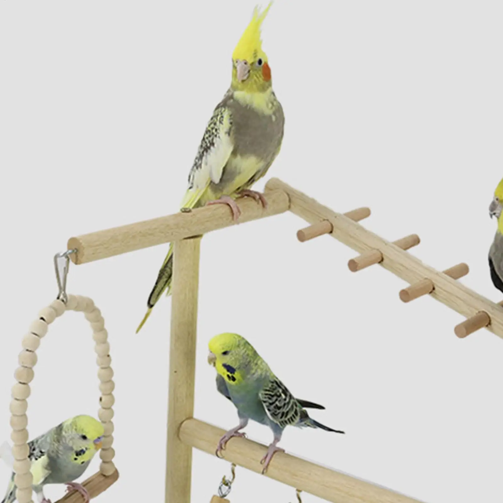 

Подставка для птиц, качели для скалолазания, лестницы, игрушки со съемным подносом из нержавеющей стали и чашкой, игровая площадка для попугаев, жевательная альпинистская площадка
