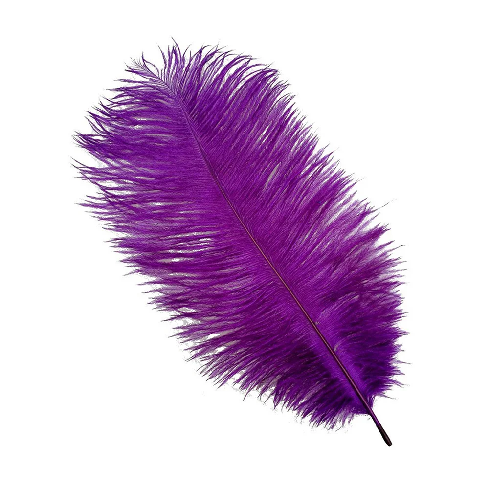 

10Pcs Natural White Ostrich Processed for Wedding Party Centerpieces Home Decoration Craft Supplies Ostrich