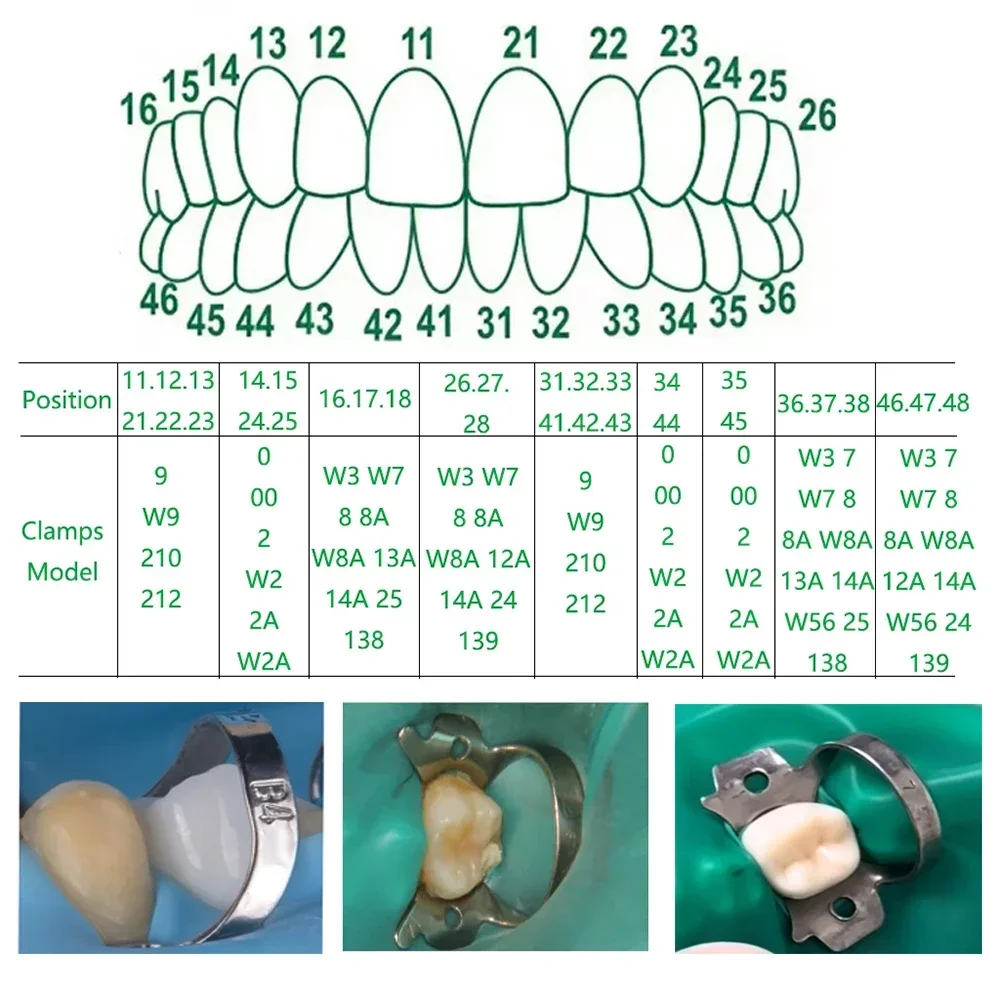Pinces à barrage en caoutchouc en acier inoxydable, taille 50, pour les Applications endodontiques, restauration et orthodontiques en dentisterie