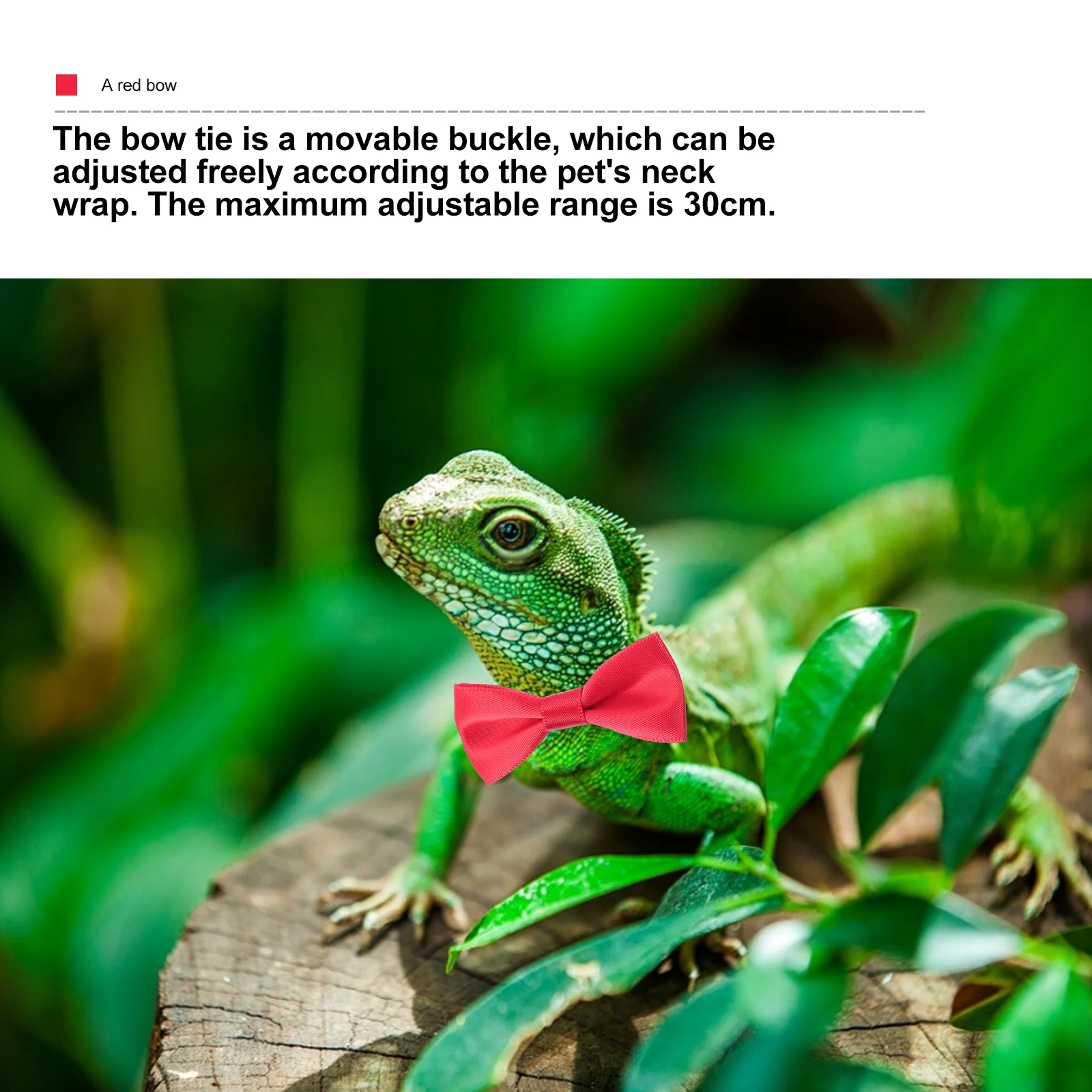 

1 set 1 Set Reptile Lizards Leash Hat Bowtie Adjustable Lizard Costume Valentine Party Small Animals Traction Rope Set 30Cm