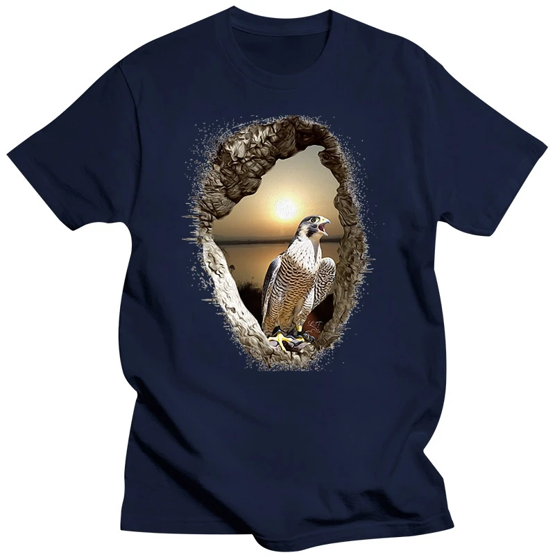 Peregrine-Sunset-Splash-bird prey dtg mens t shirt tees Comfortable t shirt Casual Short Sleeve Print tees cheap wholesale