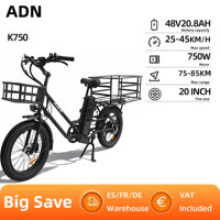 ADN K750 City Electric Bicycle 750W Motor 48V20.8AH Battery 20-inch Fat Tire Adult Electric Bicycle