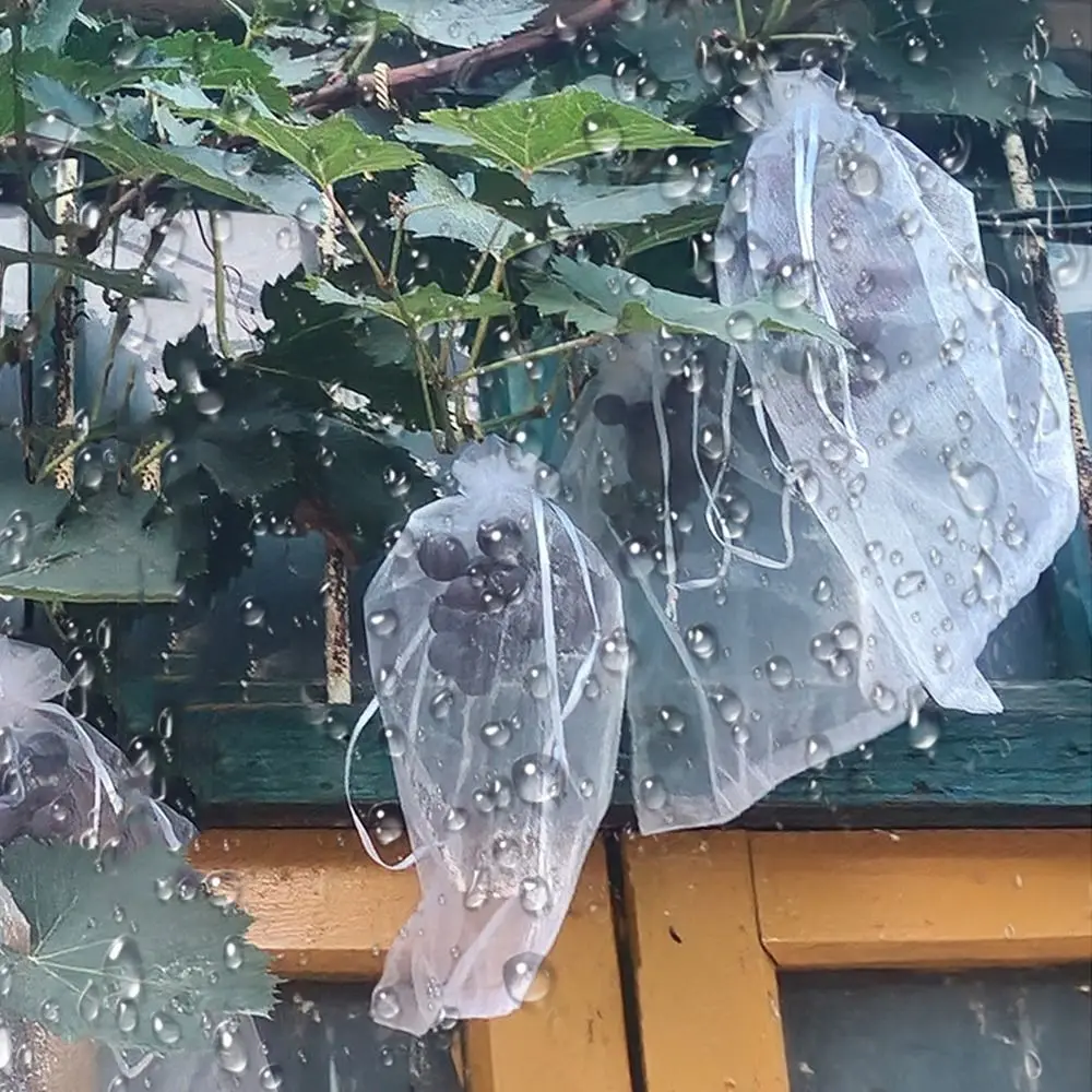 

100pcs Mesh Grapes Fruit Grow Bags White Breathable Vegetable Plant Protection Bags Generic Plant Grow Bag Garden Tools