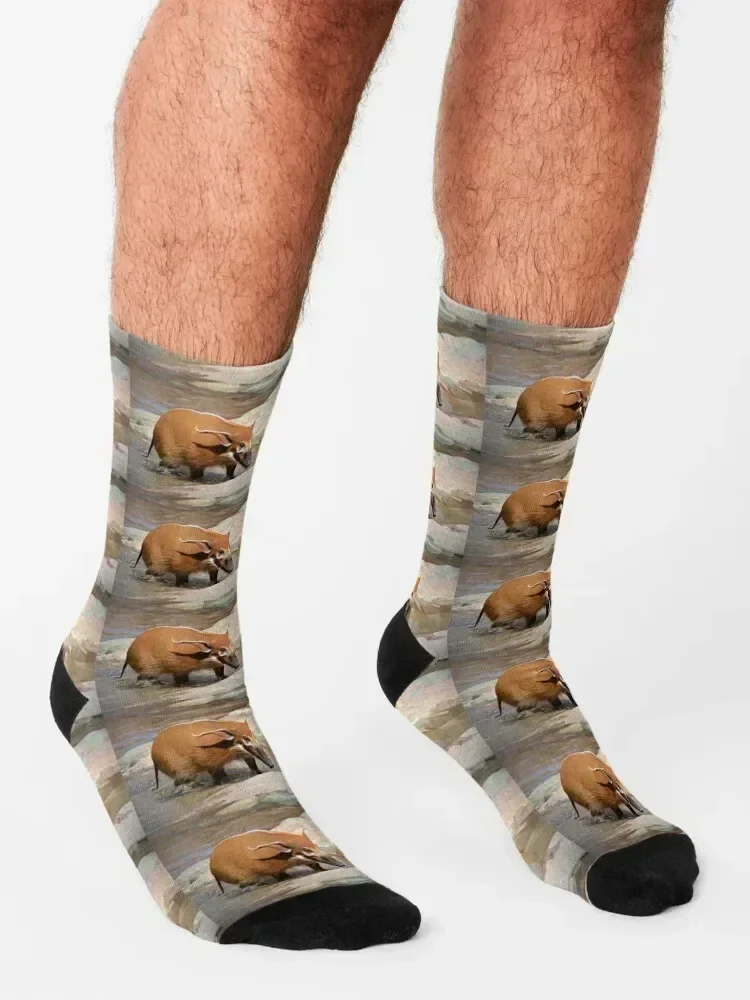 جوارب Red River Hog هدية عيد الميلاد هدية عيد الميلاد جوارب رياضية للبنات للرجال #3