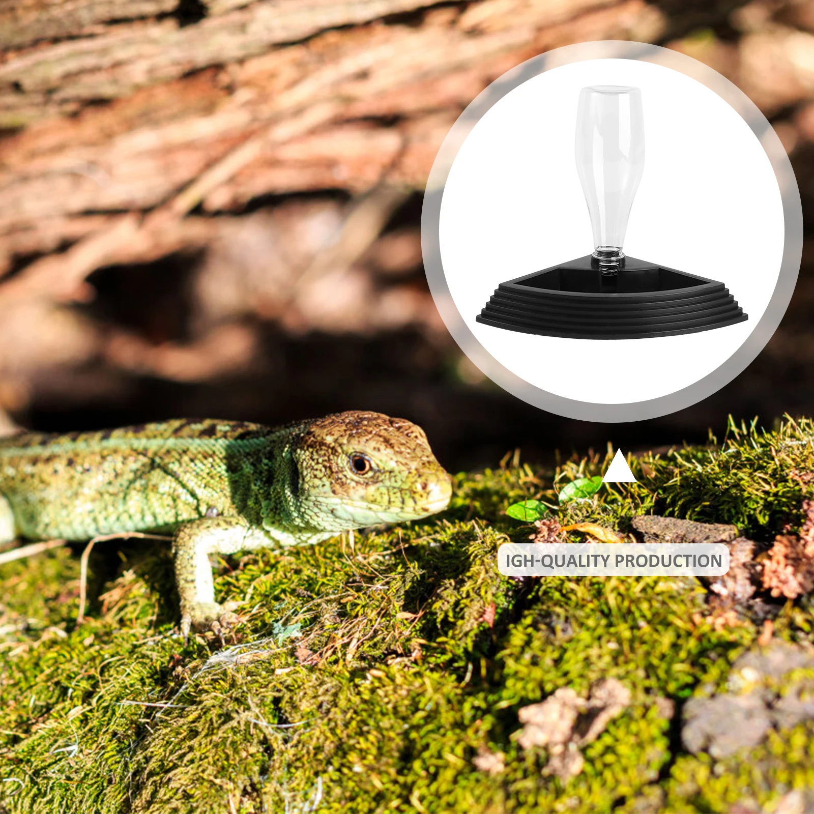 

Reptile Automatic Waterer Smooth Surface Right Angle Design Stable Base Triangle Opening Feeding Water Pet Supplies Reptiles