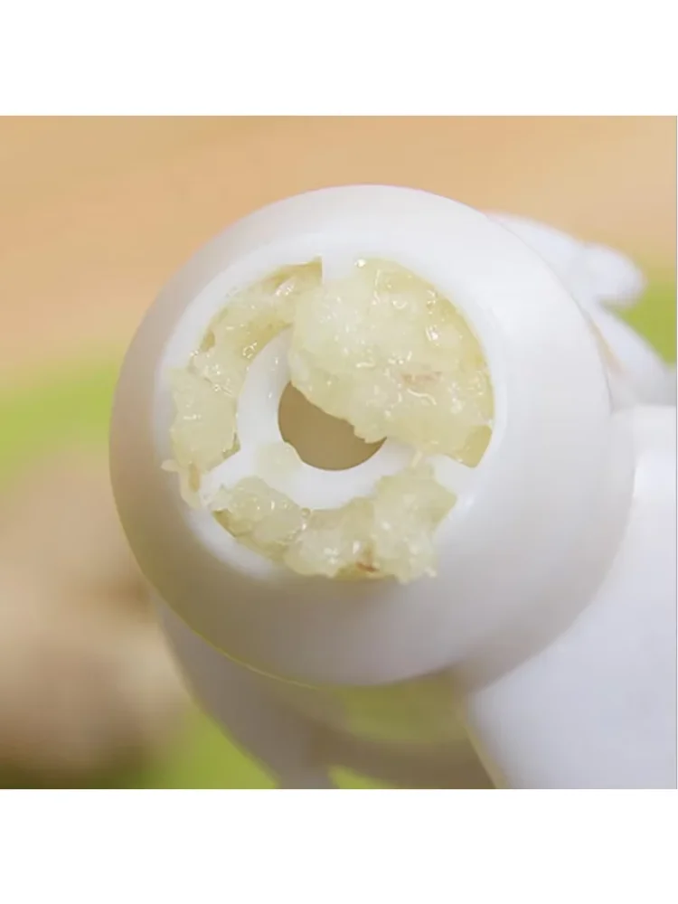 Fruit Vegetable Tool Ginger Garlic Presses High Quality Kitchen Cooking Tool Potato Garlic Cutter Best Selling