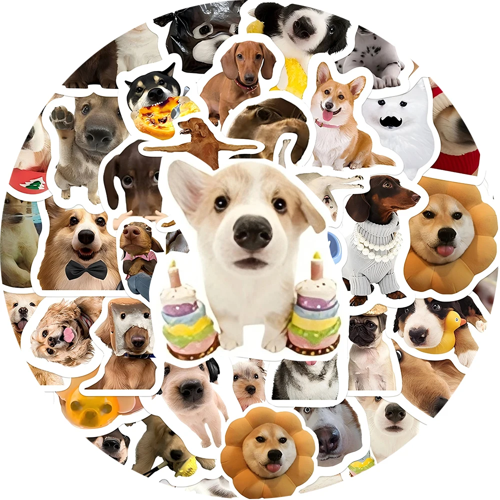 10/30/64 pçs bonito dos desenhos animados adesivos de cão de estimação engraçado animal meme decalques brinquedo diy bagagem papelaria telefone carro graffiti adesivo para criança
