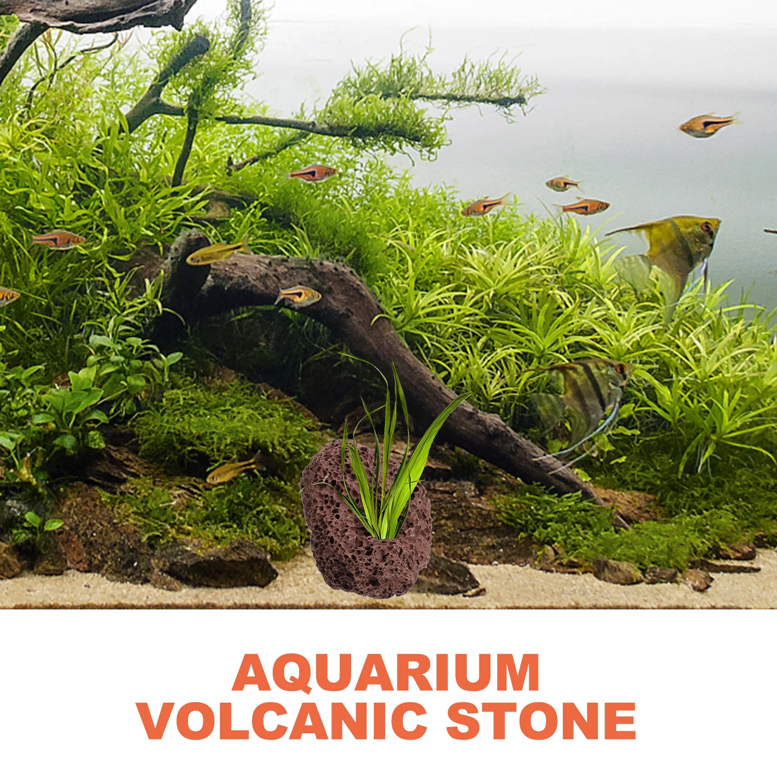 

6Pcs Aquarium Plant Pot Volcanic Stone Decor Fish Tank Fixed Ring for Water Grass Holder Tank Parts Accessory Aquarium Plant Pot