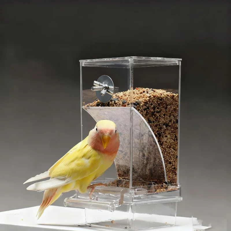 Transparent Parrot Feeder - no mess design, transparent automatic parrot with visible food supply