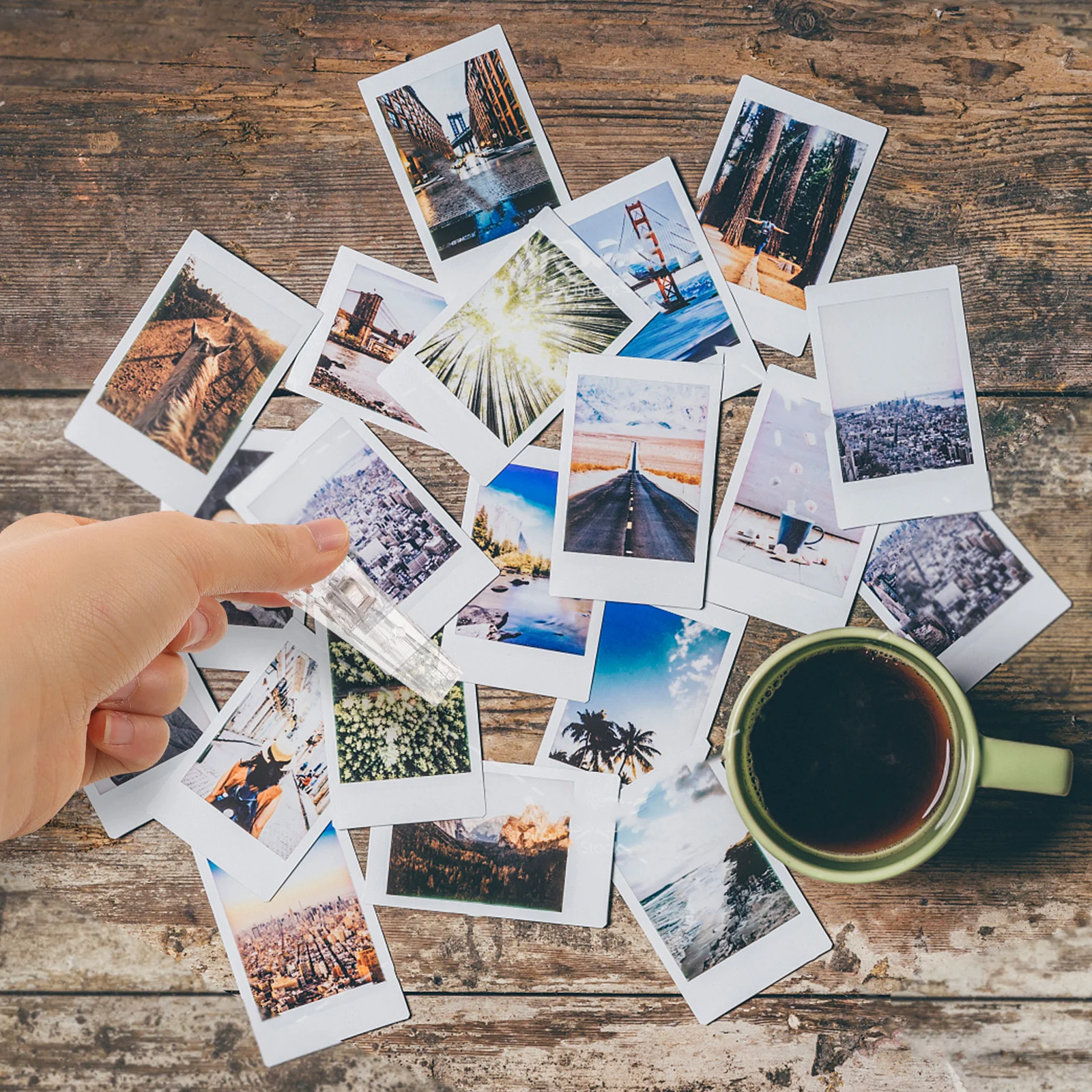 6Pcs Plastic Clips Secure Hold Anti-Slip Texture Clips for Home Sewing Projects Craft Workshops Photo Hanging Reusable Clamping