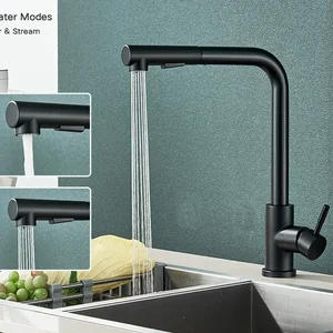Removable kitchen sink tap, flexible, 2 modes, spray flow and beak, rotary taps, stainless steel, hot and cold water, mixer tap 8 Main Sales Tap Gourmet Kitchen - №7