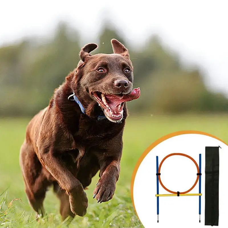 Dog Training Circle Dog Training Circle Outdoor Jumping Course Outdoor Jumping Course For Doggie Exercise &Workout With Storage