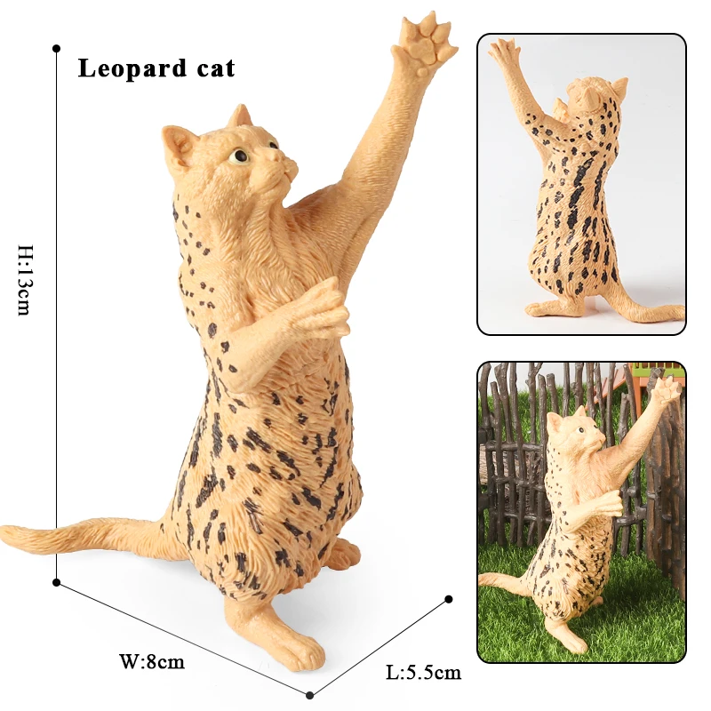 Oenux Cat Model Action Figure Siamese Sphynx Persian Cat MaineCoon Kitty Figurine Cute Home Decoration Educational Kids Toy Gift