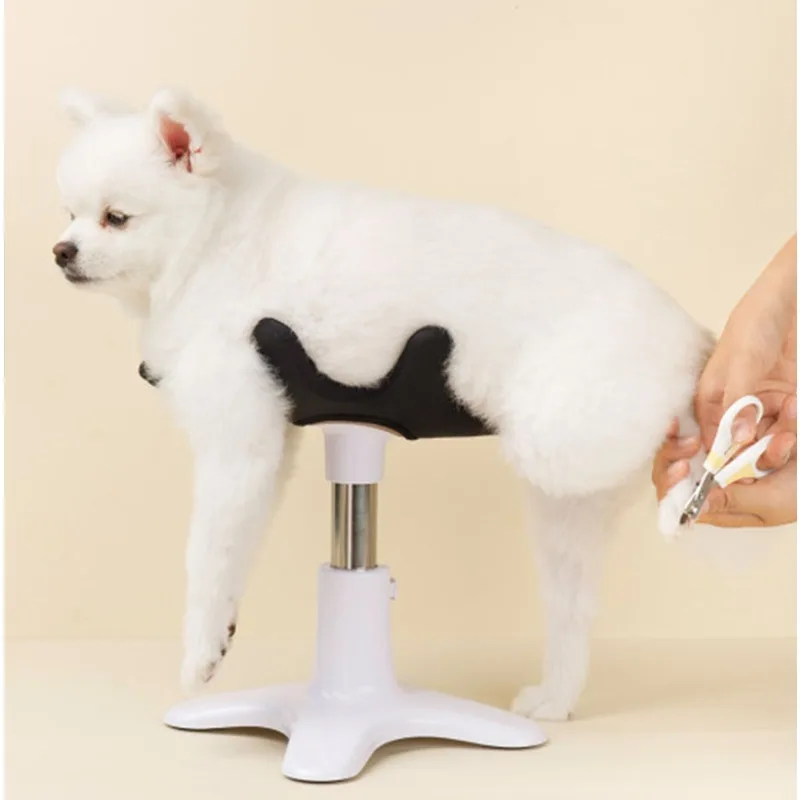 Pet shower, hair dryer, and beauty fixed table base frame