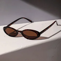 2024 New Sexy Women's Sunglasses Small Oval Sunglasses Fashion Leopard Brown Sun Glasses Luxury Brand Designer Retro Sunglasses