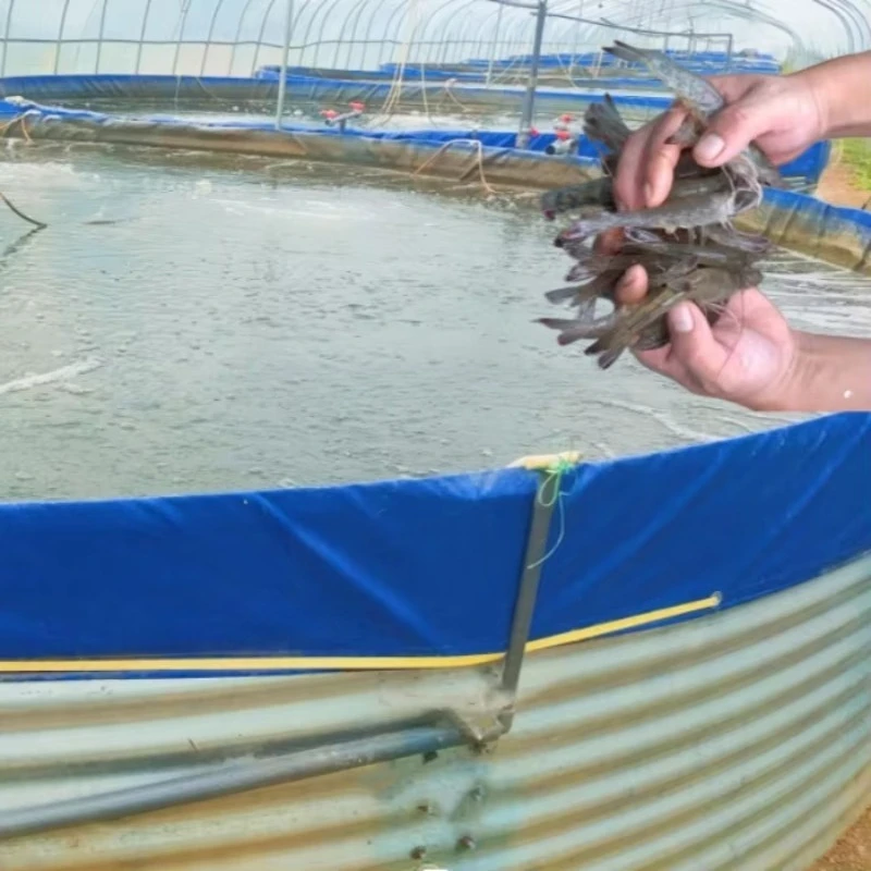 High Quality Hot Dip Galvanized Steel Round tank with Sturdy Structure for High-density Fish Shrimp Aquaculture CE Certification