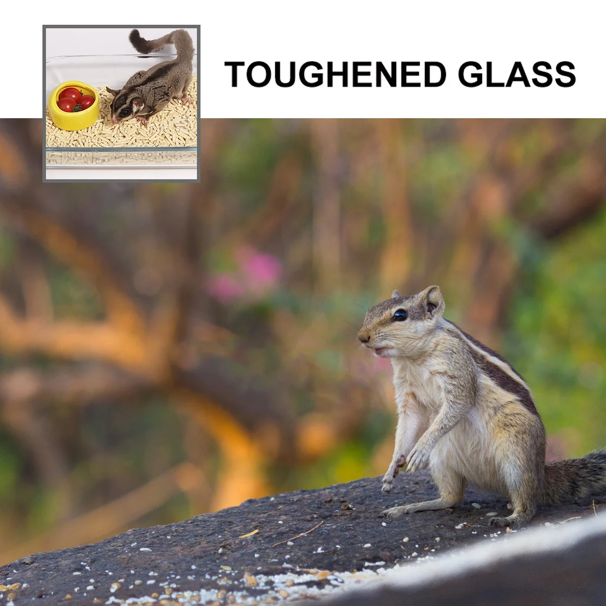 

Hamster Glass Pet Litter Box Potty Training Basin for Hedgehog Squirrel Guinea Small Animals Indoor Patio Use