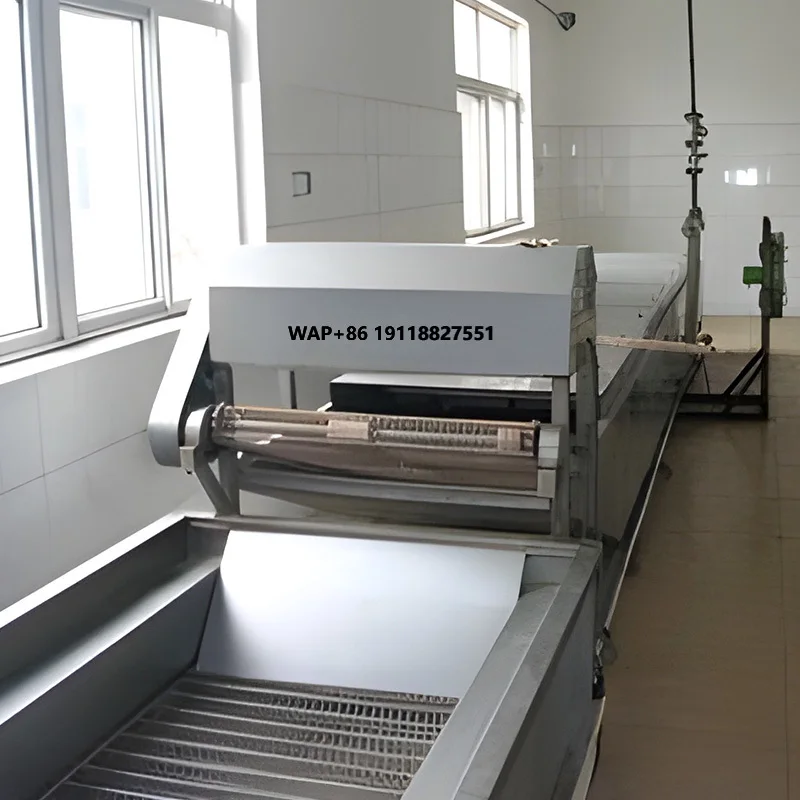 Máquina Industrial de Limpieza de Vegetales, Precio de Fábrica, para Espinacas, Cebollines, Puerros, Sistema Eficiente de Lavado de Vegetales por Pulverización