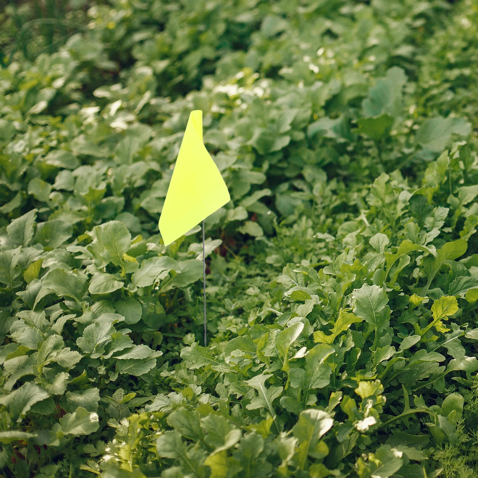 

50pcs Landmark Marker Lawn Flags With Poles For Garden Yard Sprinkler Irrigation Dog Training Survey Marking Flags