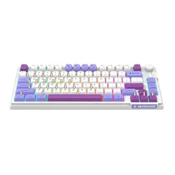 XUNFOX K81 Keyboard Triple Patchwork MDA Ball Cap Wired USB Illuminated Office Gaming PC  81 Keys Notebook Ergonomic 75% Layout