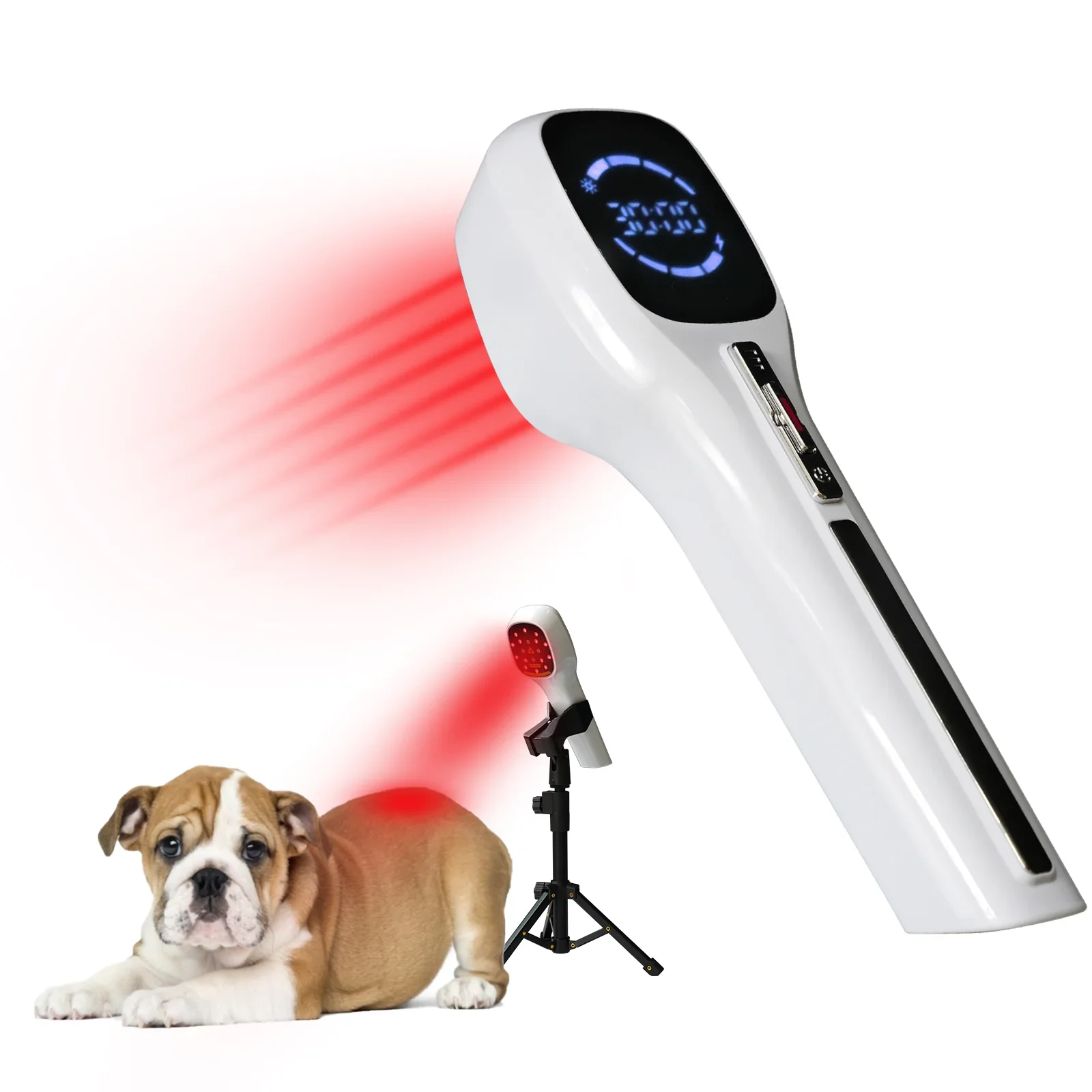 Cold  therapy  650nm 808nm household medical device pain relief anti-inflammation arthritis treatment for pets dog cat