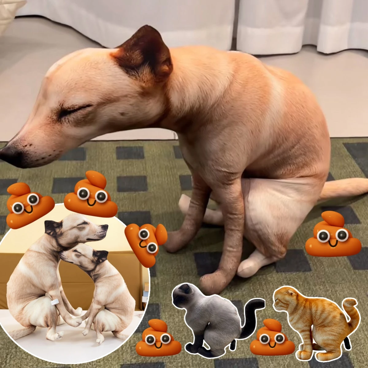 Funny Squatting Pooping Dog Plush Toy Cute Realistic 3D Printing Home Decor Stuffed Pillo Novelty Gag Gift Cartoon Cushion Gifts
