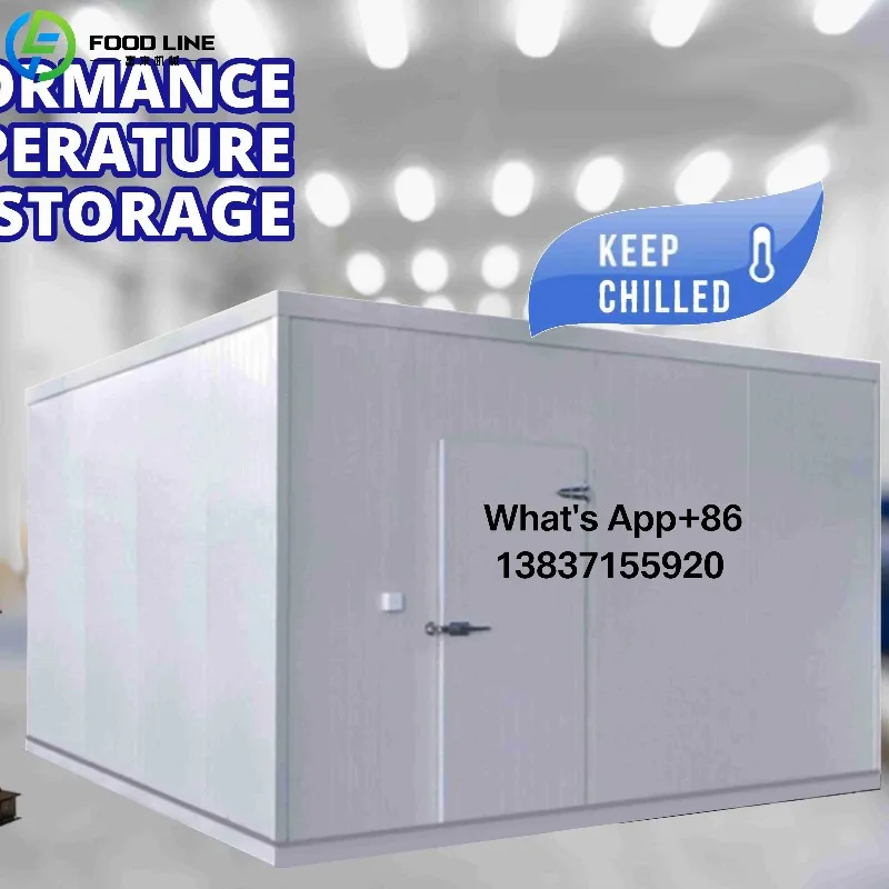 Custom Cold Room Cold Unit Refrigeration Storage Food Container Snacks Meat Freezer For Commercial Industrial Use