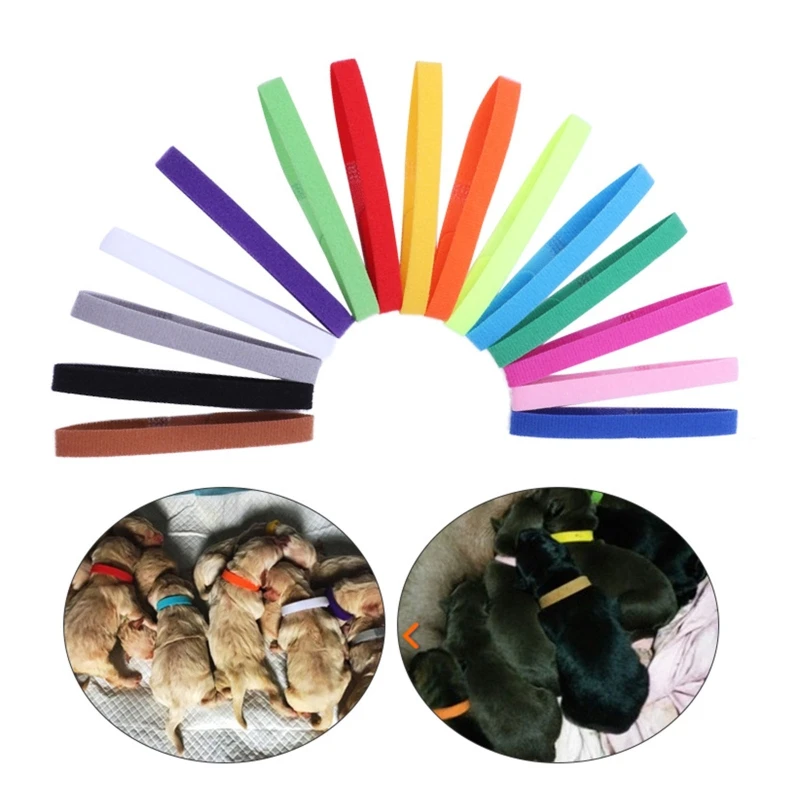 Welpen wellenhalsbänder 15 Farben kleine Haustier halsbänder weiche verstellbare Bänder für Neugeborene für Katzen kätzchen wieder verwendbar 15 pac – Detail 3