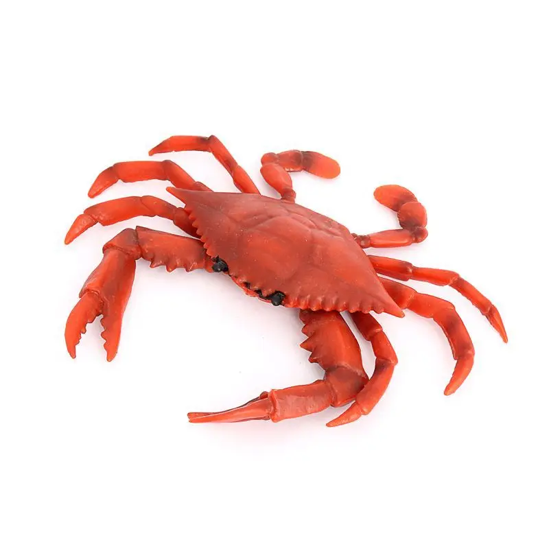 Simulation Marine Life Model Blue-footed Crab Crab Toy Children's Solid Underwater Animal Toy Gift