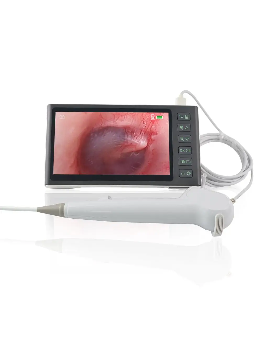 USB Vet Endoscope Tracheal Intubation Laryngoscope Foreign Body Forceps / Veterinary ENT Endoscopy Portable Flexible