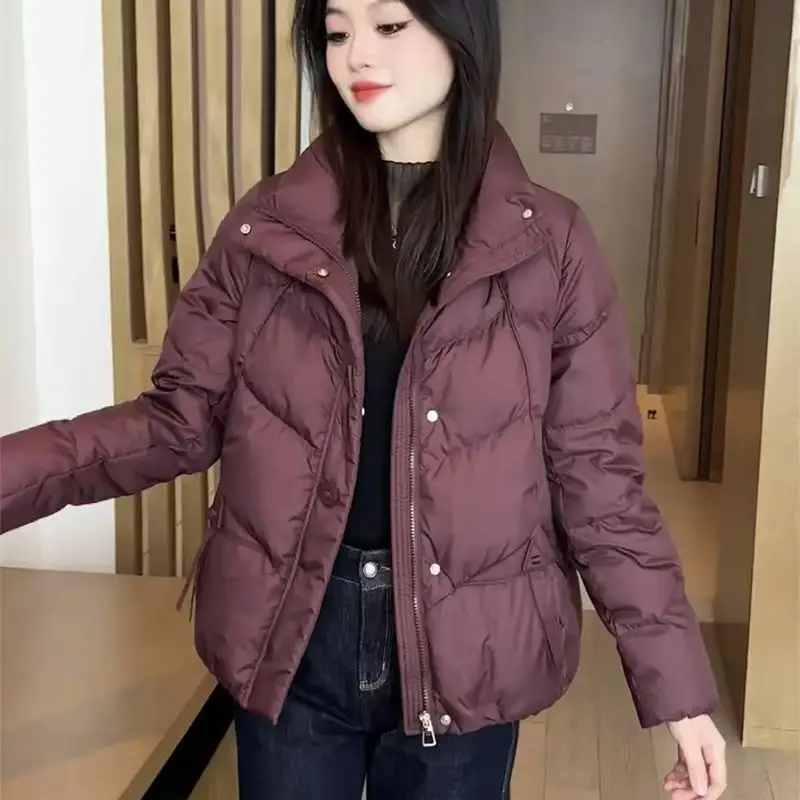 2026 Lamb Wool Big Faux Fur Collar Small Sheepskin Solid Color Jacket Korean Version Down Cotton Thick Loose Cotton Jacket