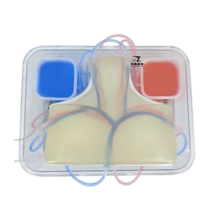 

НОВАЯ медицинская наука, ультразвуковая управляемая центральная венепункционная модель для обучения жонкулярных вен, модель прокола вены подбезовика