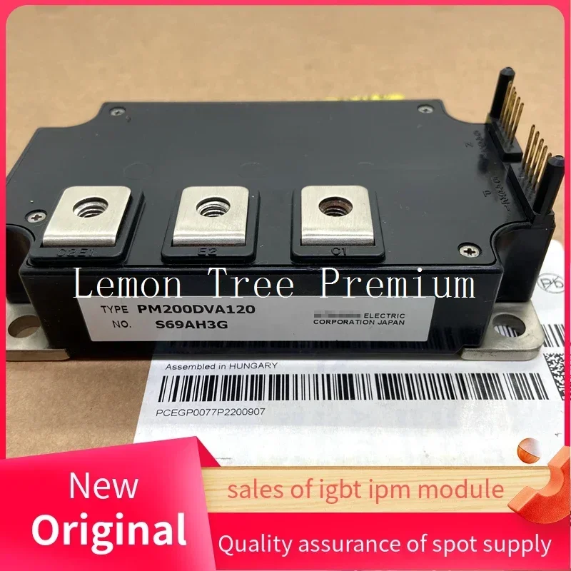 PM300DV1A120 PM300DVA120 PM200DVA120-2 PM200DV1A120 Modulo IGBT Nuovo Originale