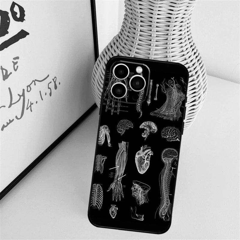 Radiological Human Organs Skeleton Cover Case For iPhone 14 Pro 11 16 15 Pro Max 12 13 Mini Plus XS X XR Funda