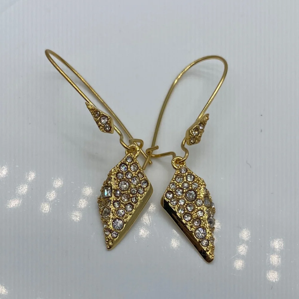 New Earrings From European and American Genius Designers