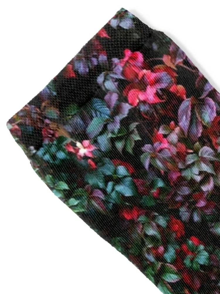 Miss Ivy Socks Stockings man funny gifts anti-slip sheer Socks Women Men's