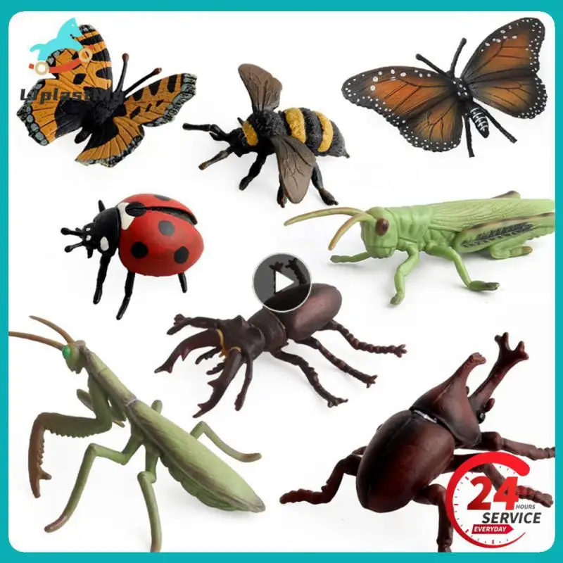 Hot Insect Animals Model Butterfly Lizard Cricket Spider Bee Action Figures Mantis Figurine Miniature Educational Kids Toys Gift