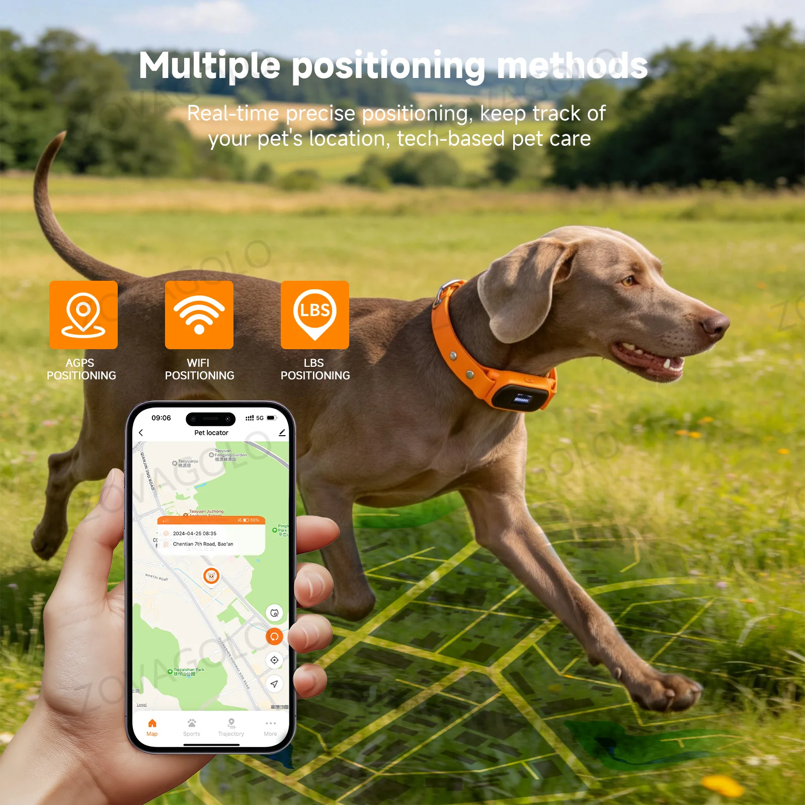 C08-PX: localizador GPS para m - Dog Gps Tracker Collar 4G Waterproof reseña y precio