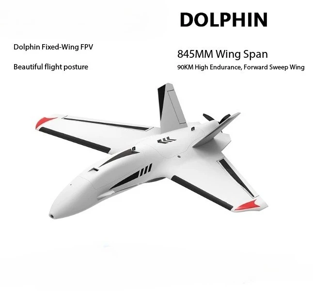 Fixed‑Wing RC Model Delta Wing Aircraft 800mm Wingspan FPV
