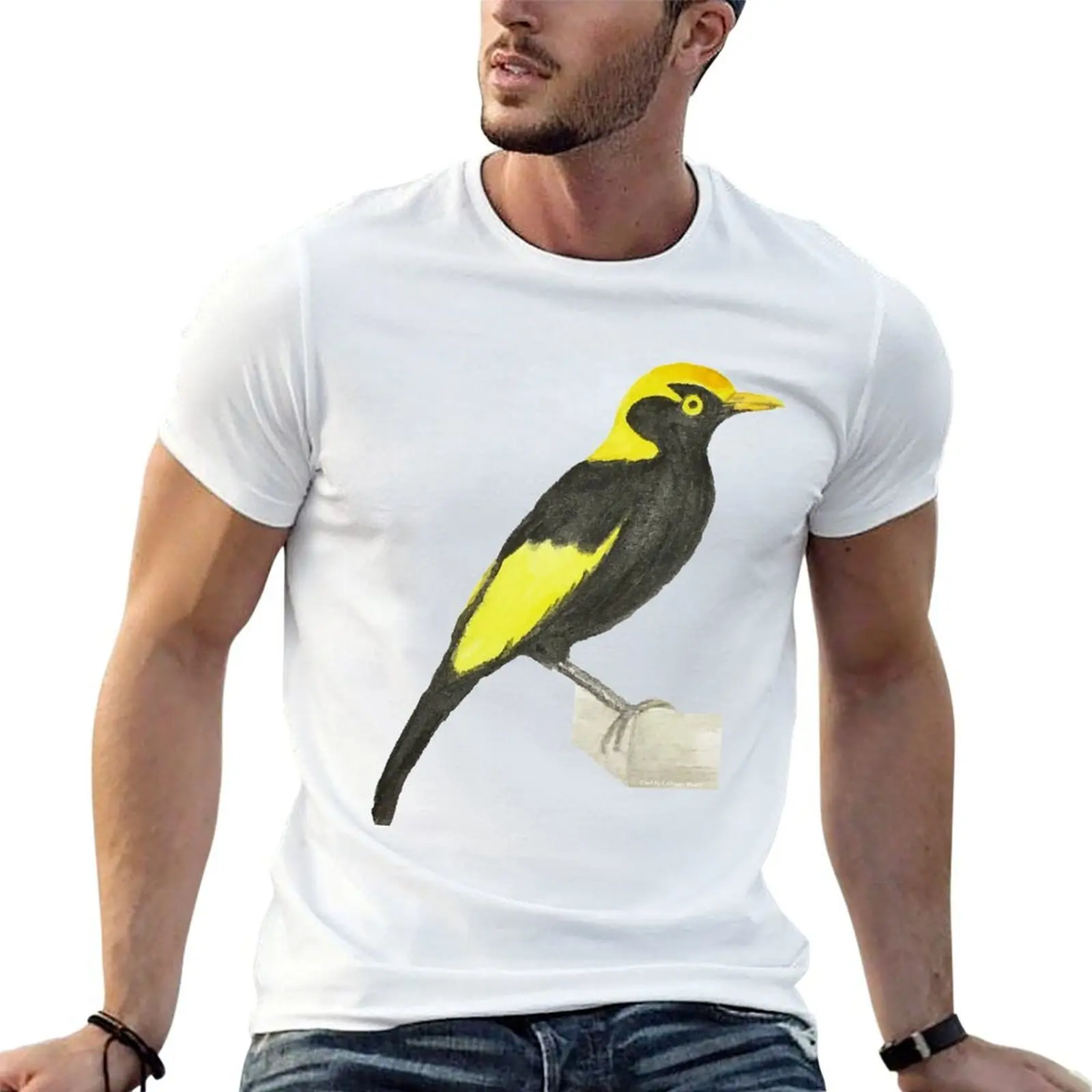 Camiseta con estampado de acuarela de Regent Bower Bird, camisetas de anime, camisetas oversize g man para hombre, camisetas de algodón para hombre