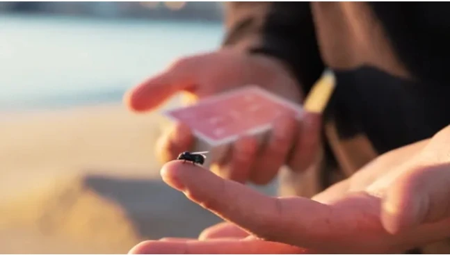 

The FLY LITE от Marcos Waldemar & Invisible Compass — фокусы (мгновенная загрузка)