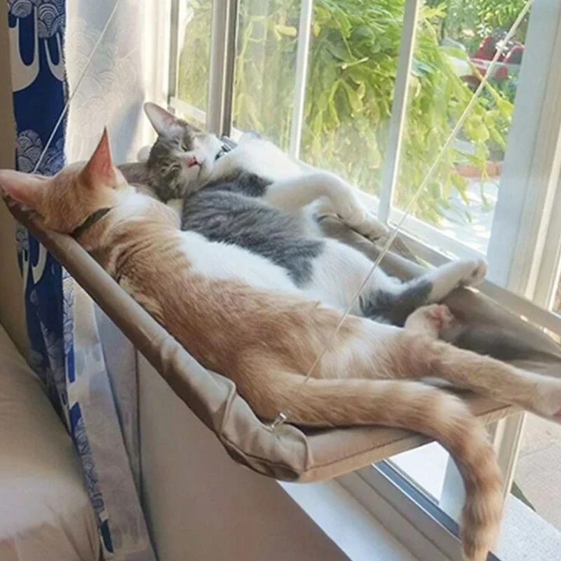 Thumbnail 3 - #9 Latest Hangers Updates