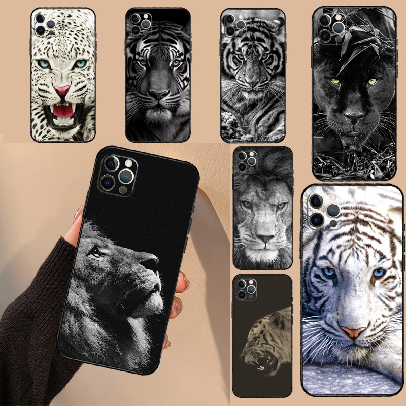 Animal Lion Tiger C… - image