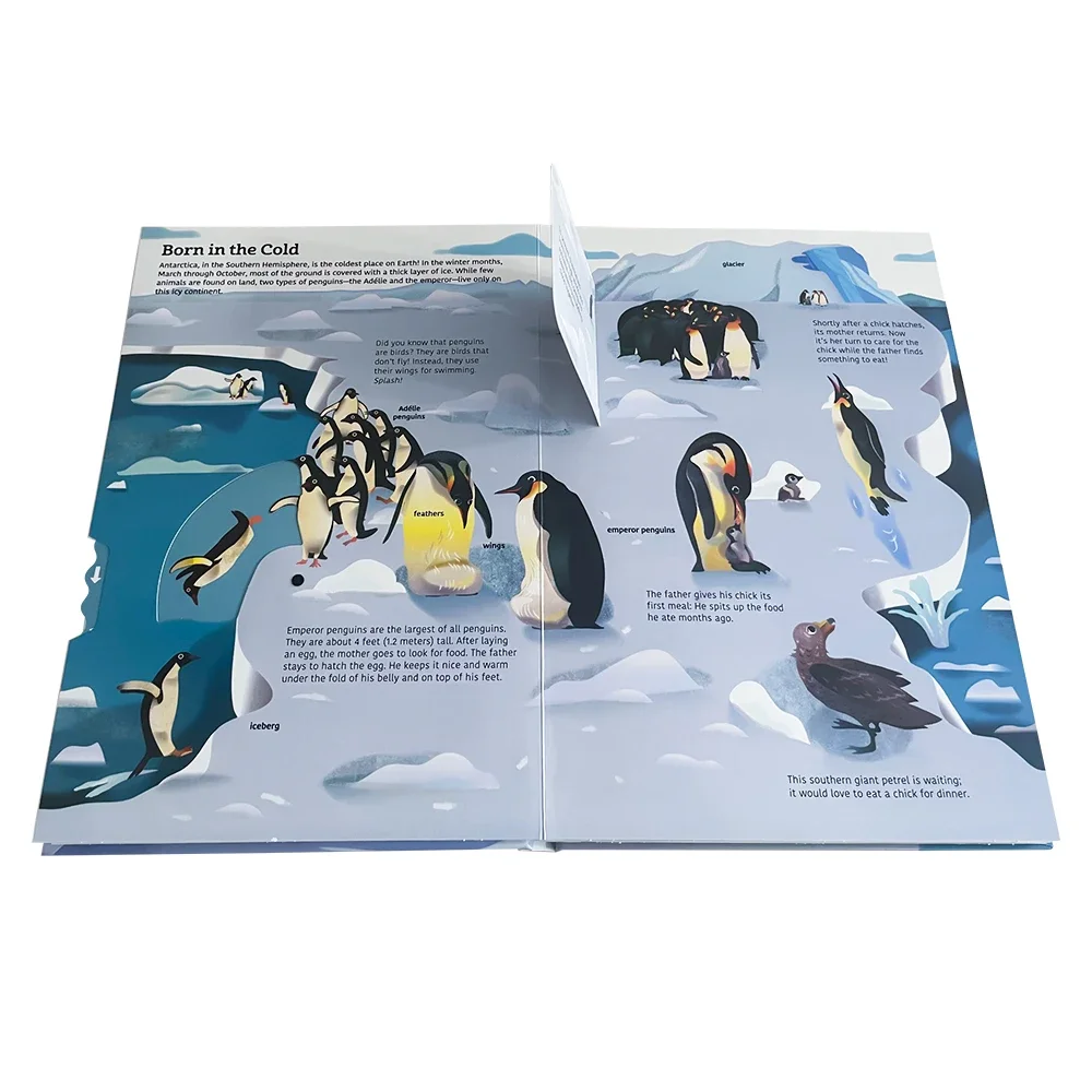 Polar Animals Natural Geography Biology Science Popularization Cardboard book Children's English Picture Books Flip Flap Book