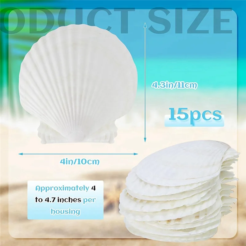 15 PCS Natural Sea Shell Large White, 4-4.7 Inch Scallop Shells for DIY Craft, Serving Food, Baking and More