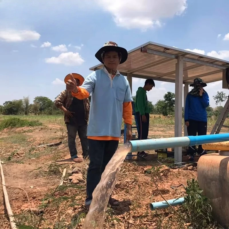 4 بوصة مضخة مياه تعمل بالطاقة الشمسية مضخة الآبار مضخة نافورة شمسية الري بدون لوحة طاقة شمسية التيار المتناوب/تيار مستمر 6 م 3 / ساعة 135 م 110 فولت 2.0 حصان